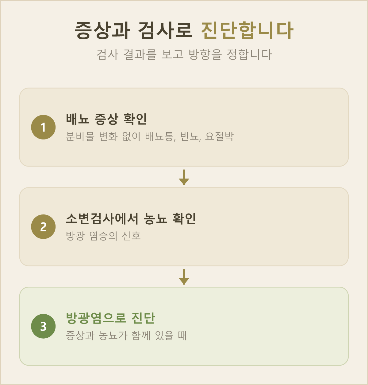 소변 증상을 확인하고 소변검사로 방광염을 진단하는 흐름이에요