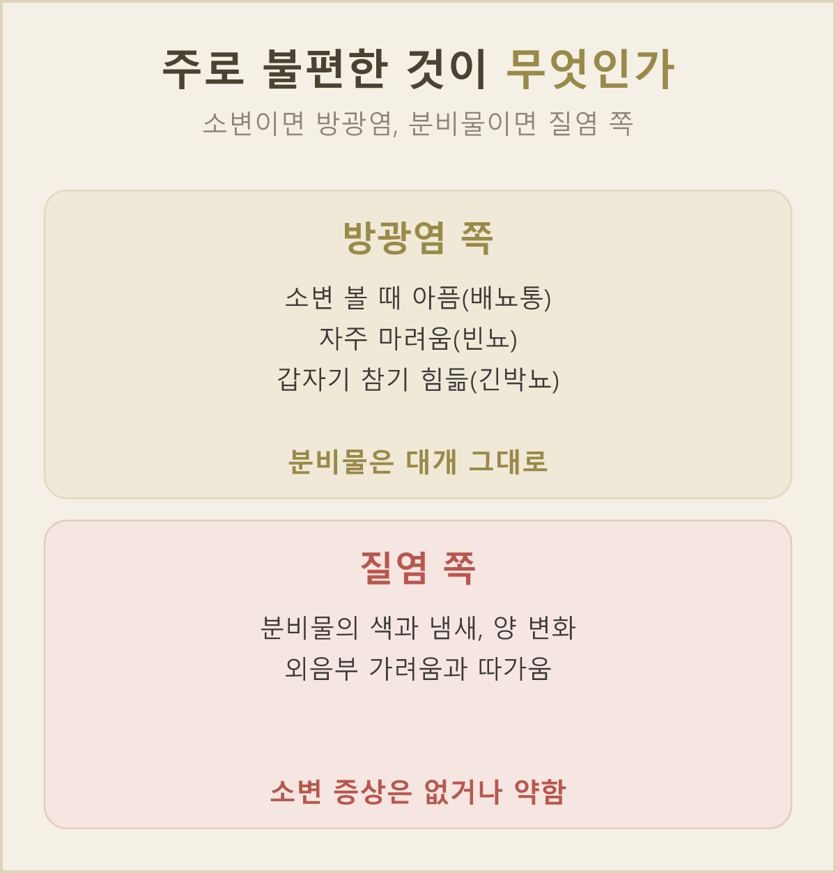 소변을 볼 때 불편하면 방광염 쪽, 분비물이 달라졌다면 질염 쪽 — 두 질환이 갈리는 곳