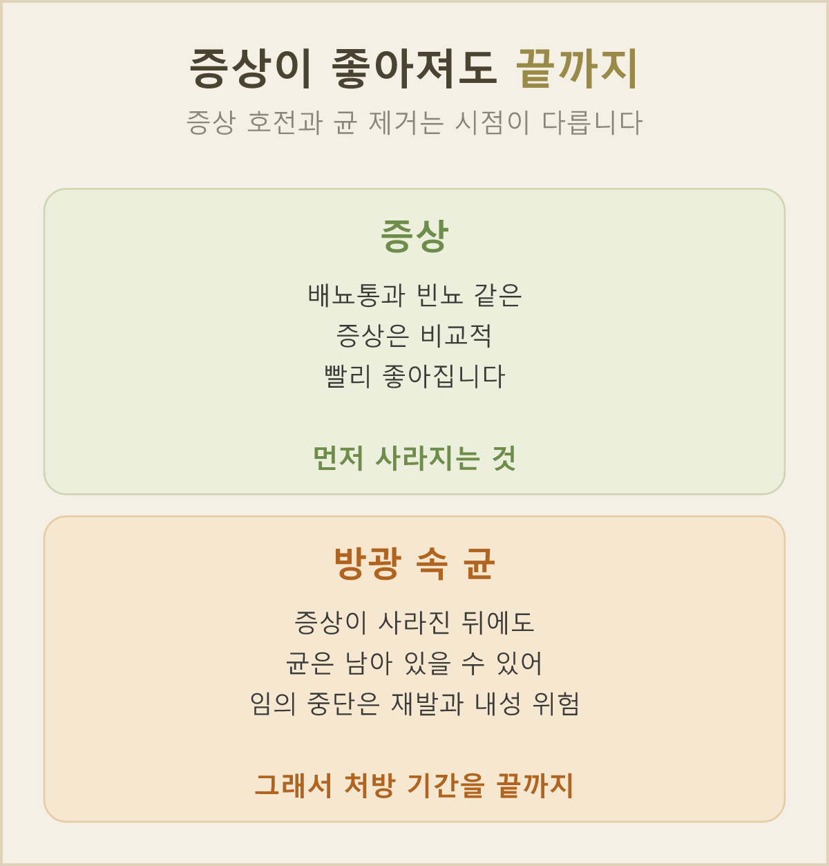 몸이 편해진 뒤에도 처방받은 날까지 약을 이어 가요. 중간에 멈추면 남아 있던 균이 다시 늘어 재발과 내성 위험이 커질 수 있어요