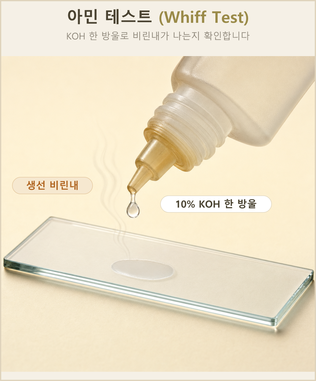 분비물에 KOH 용액을 한 방울 떨어뜨려 비린내가 나는지 확인하는 아민 테스트 과정