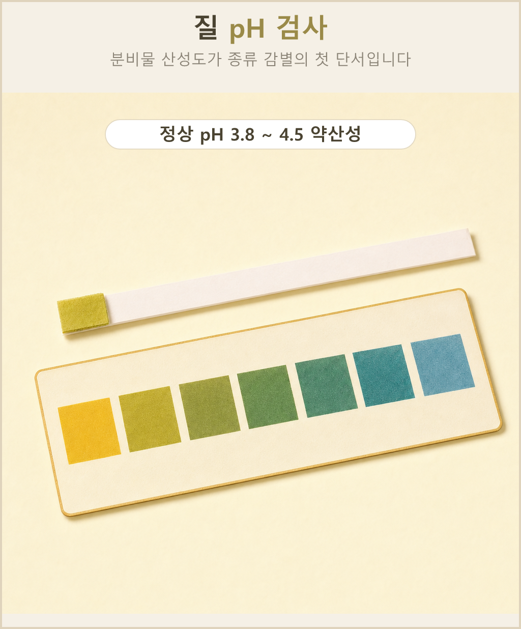 정상 질 pH가 3.8에서 4.5 사이의 약산성이라는 것을 보여 주는 pH 검사 스케일