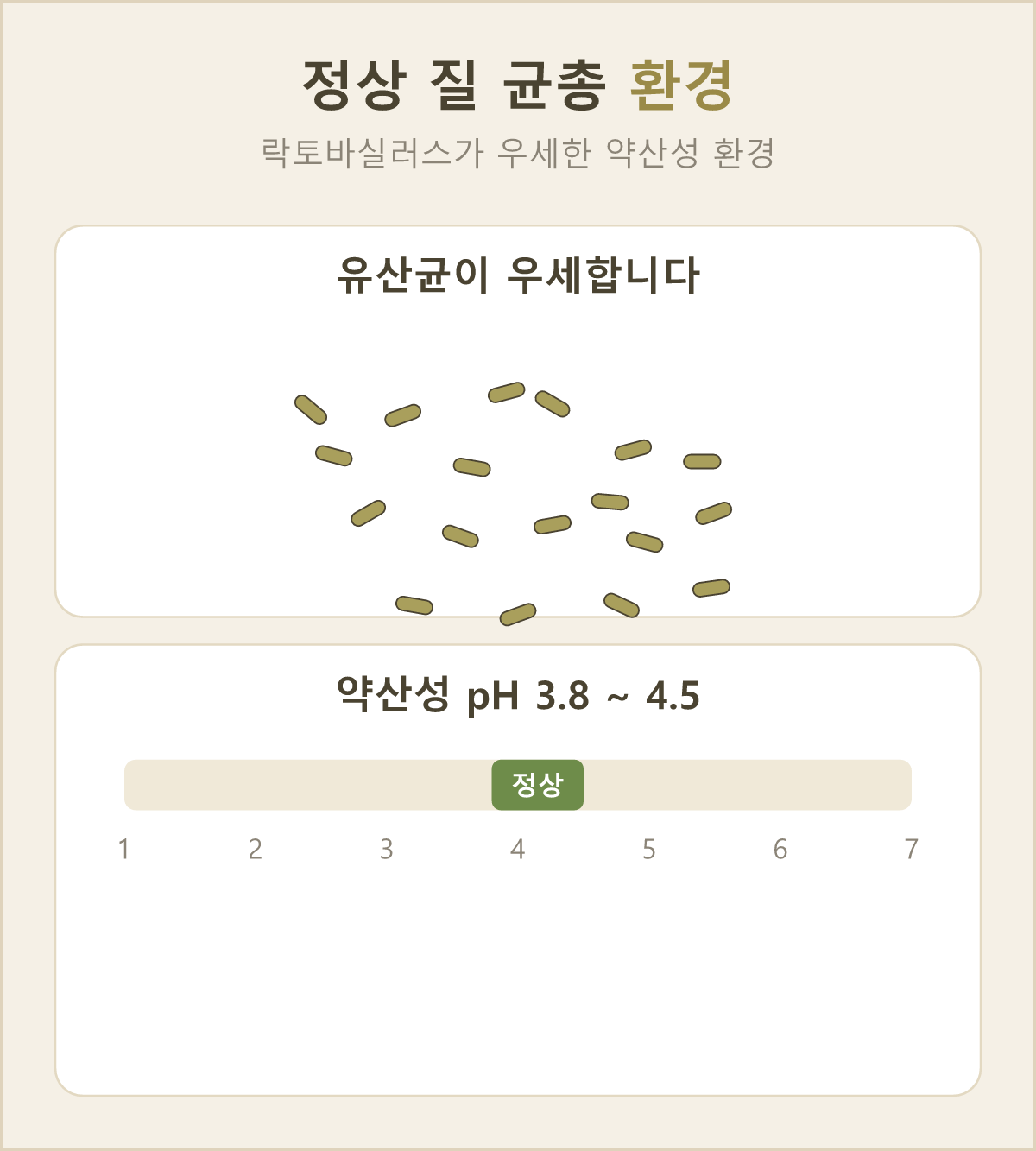 건강한 질 안은 락토바실러스가 든든하게 자리 잡은 약산성(pH 3.8~4.5) 상태로 유지돼요